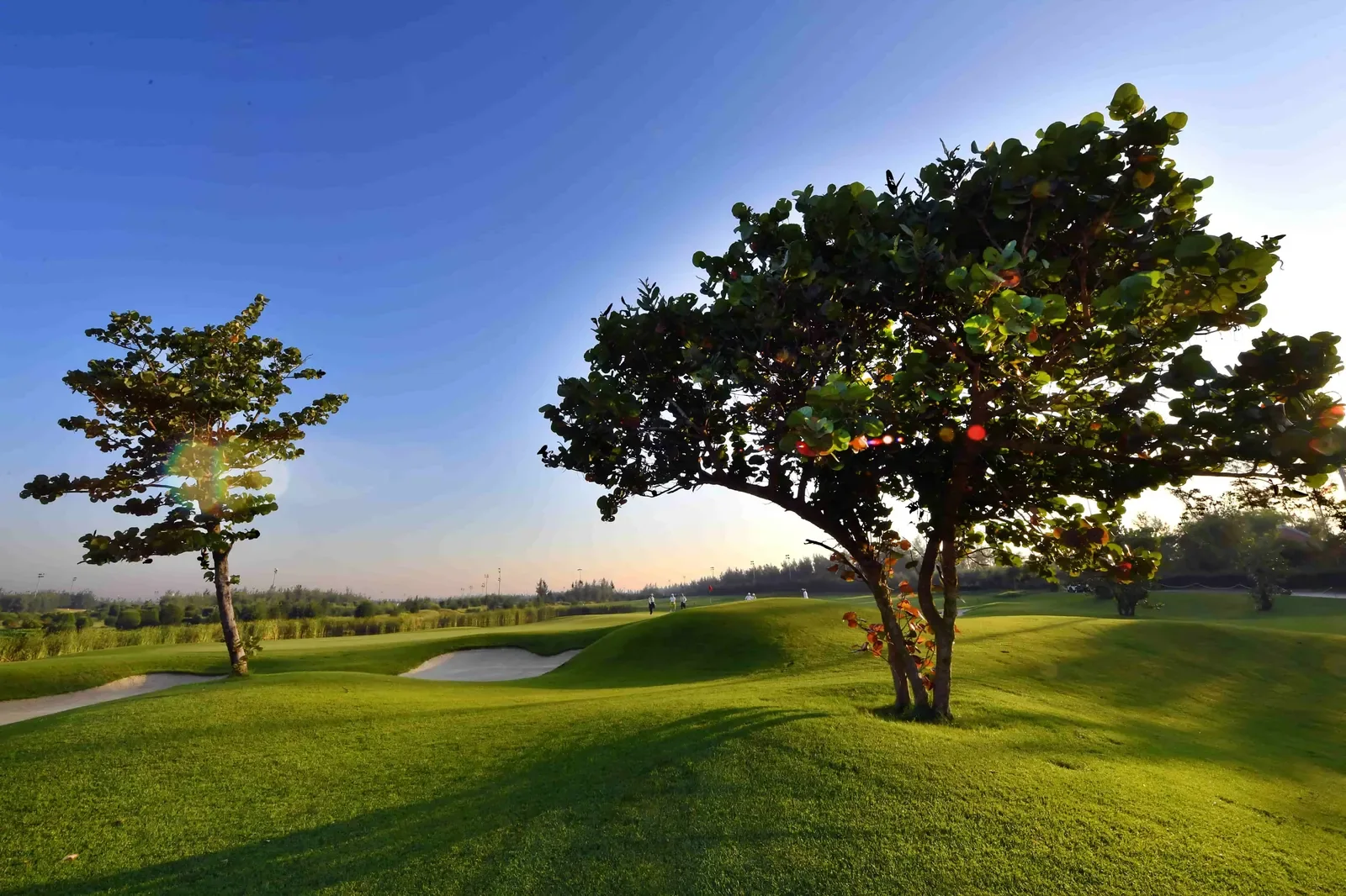 FLC Sam Son Golf Links
