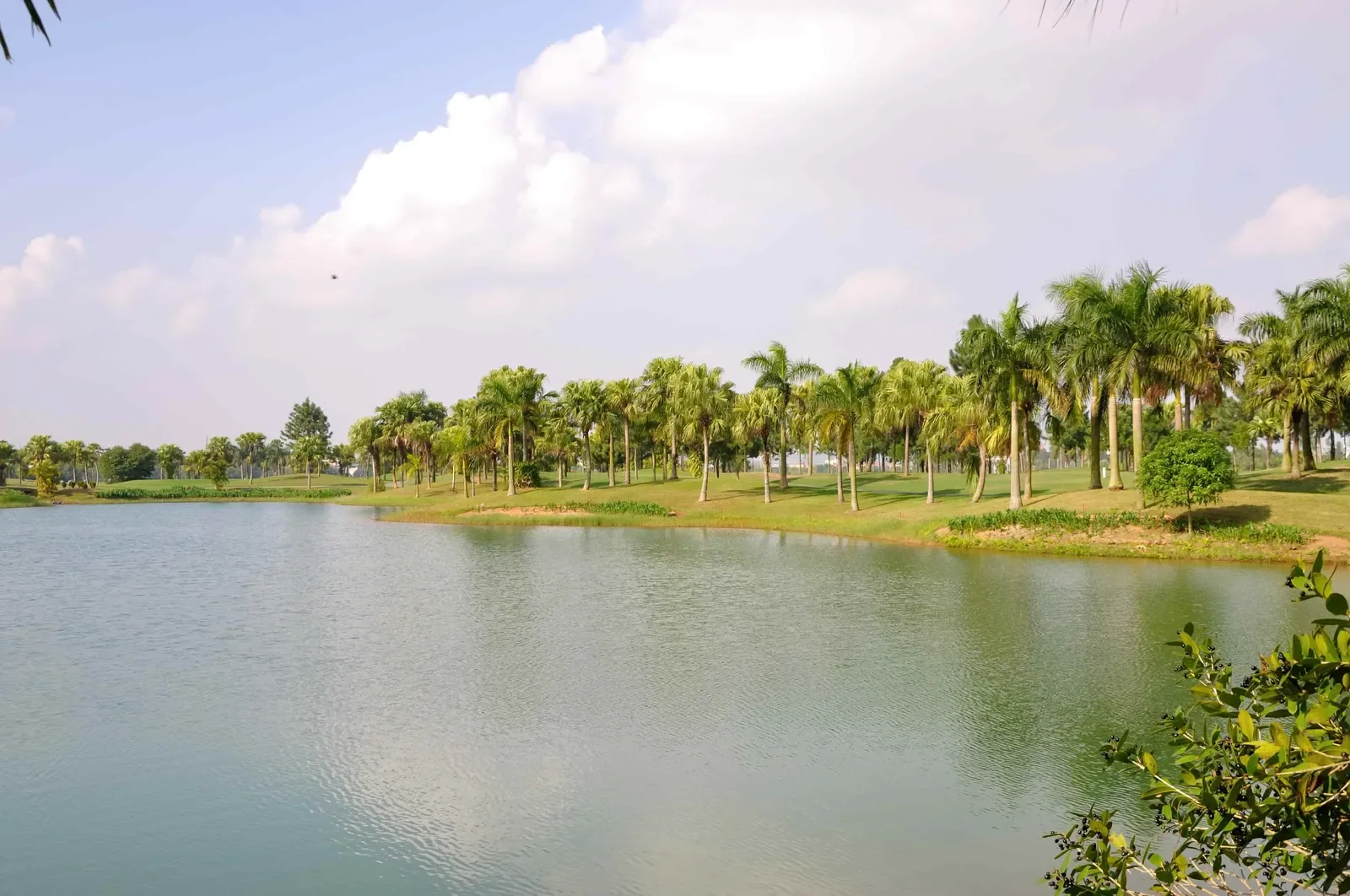 Sân golf Đầm Vạc (Heron Lake Golf Course) Vĩnh Phúc – hệ thống hồ nước bao quanh các hố golf, cách Hà Nội 45 phút